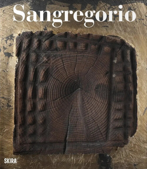 copertina_libro_isbn_9788857241975