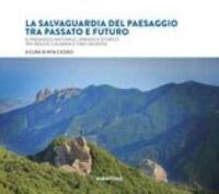 La salvaguardia del paesaggio tra passato e futuro : il paesaggio naturale, urbano e storico tra Reggio Calabria e Vibo Valentia