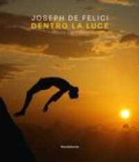 Joseph De Felici : dentro la luce