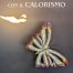 copertina_libro_isbn_9791222752464