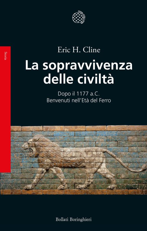 copertina_libro_isbn_9788833943510