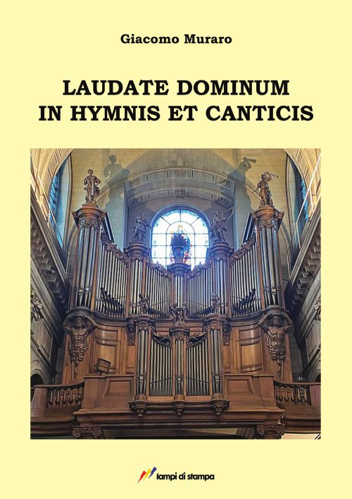 copertina_libro_isbn_9788848824675