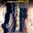 copertina_libro_isbn_9788855247283