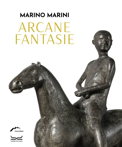 copertina_libro_isbn_9788866487906