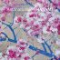 copertina_libro_isbn_9788892825987