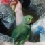 copertina_libro_isbn_9791255900948