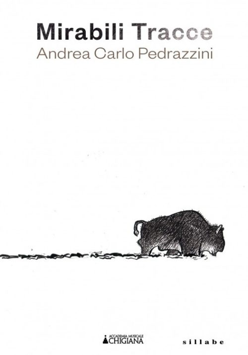 copertina_libro_isbn_9788833404639