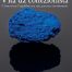 copertina_libro_isbn_9788842226208