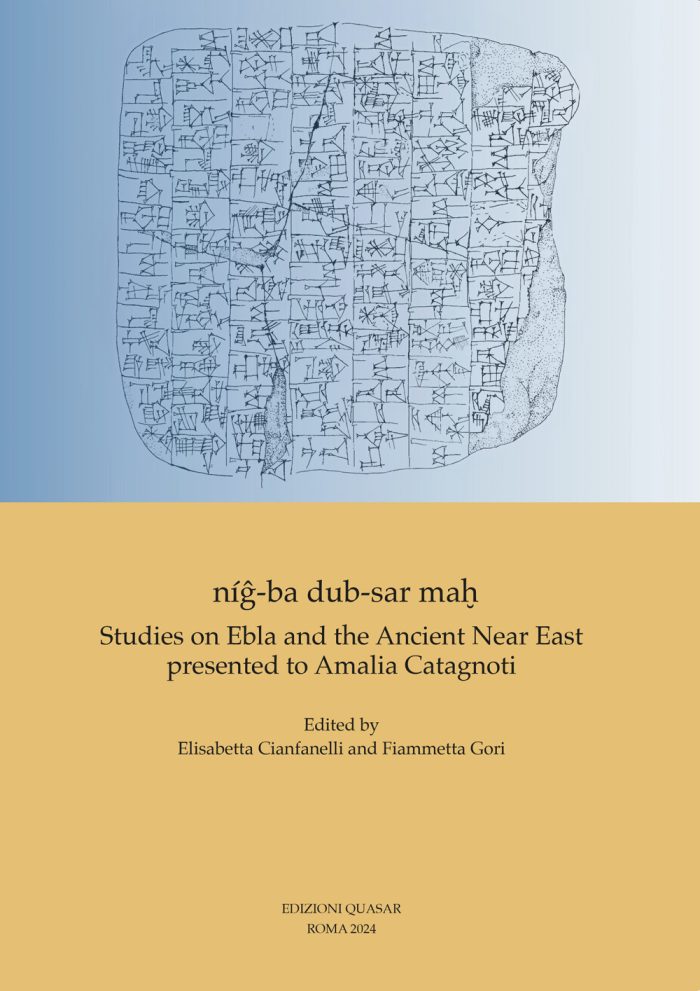 copertina_libro_isbn_9788854914971