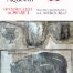 copertina_libro_isbn_9788855341516