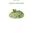 copertina_libro_isbn_9791280049919