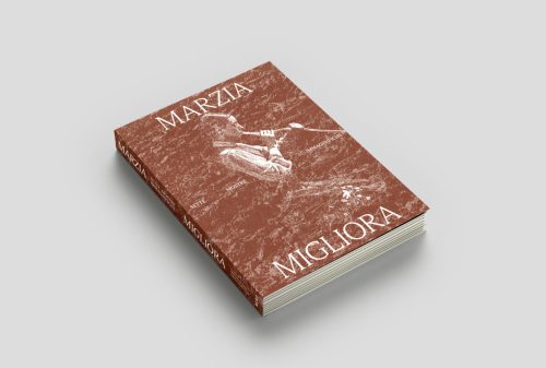 copertina_libro_isbn_9788880562771