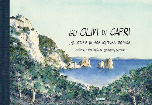 copertina_libro_isbn_9788892826427