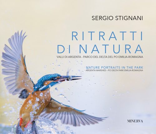 copertina_libro_isbn_9788833247588