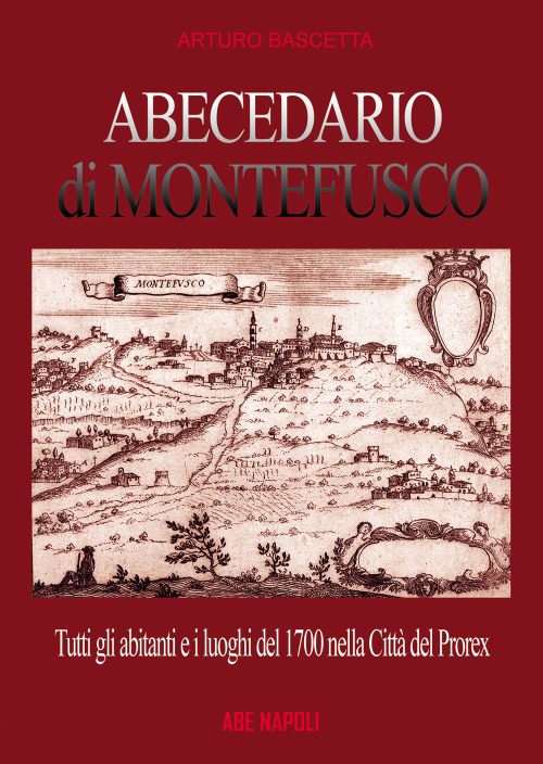 copertina_libro_isbn_9788872973783