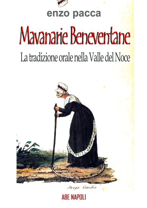 copertina_libro_isbn_9788872973820