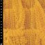 copertina_libro_isbn_9791255590606
