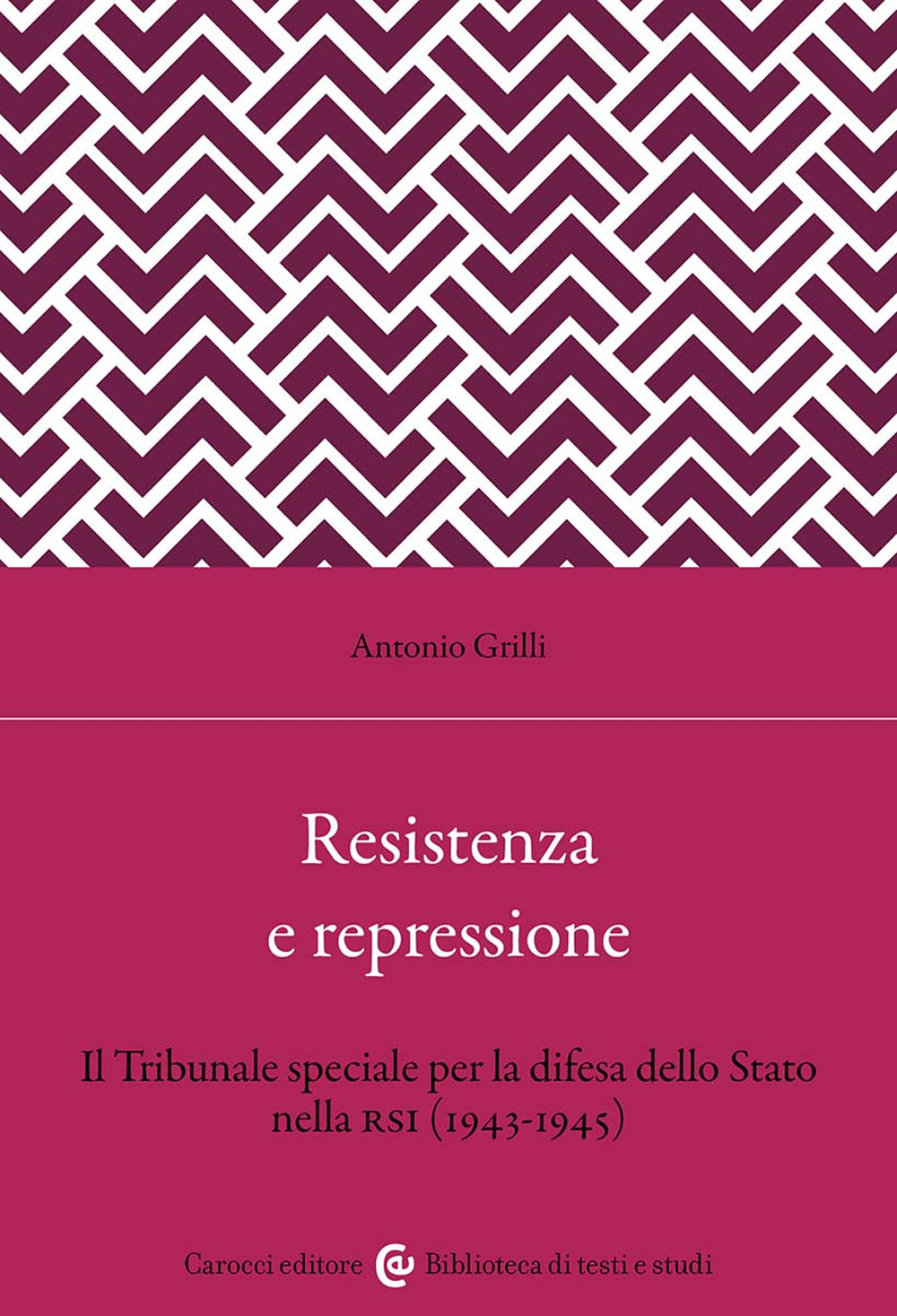 copertina_libro_isbn_9788843096138