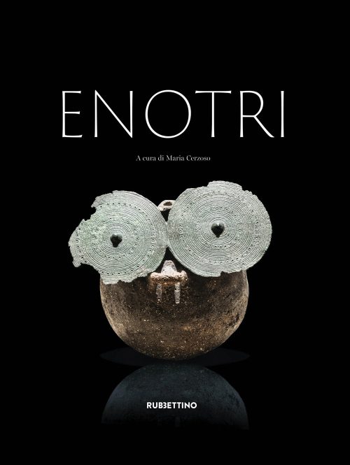 copertina_libro_isbn_9788849879001