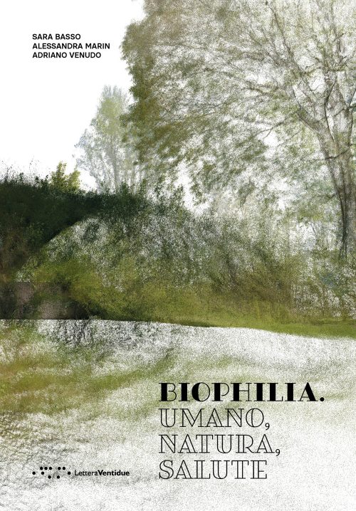 copertina_libro_isbn_9788862429474