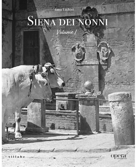 copertina_libro_isbn_9788833405063