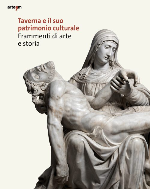 copertina_libro_isbn_9788856910049