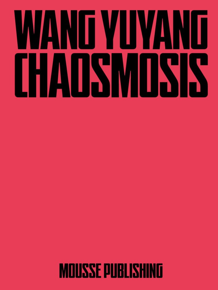 copertina_libro_isbn_9788867496778