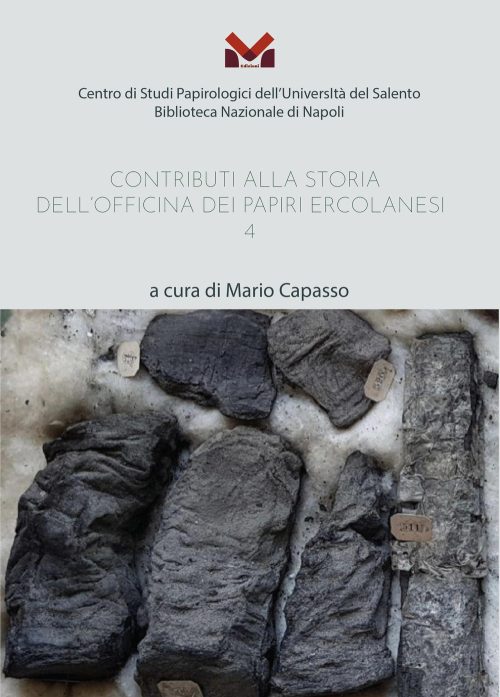 copertina_libro_isbn_9788833292502