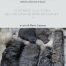 copertina_libro_isbn_9788833292502