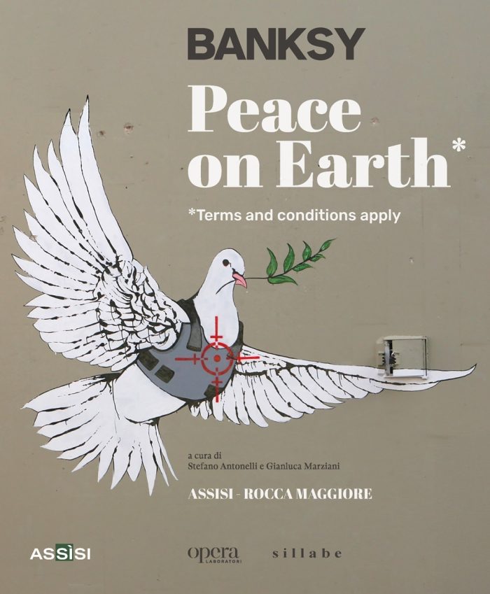 copertina_libro_isbn_9788833405490