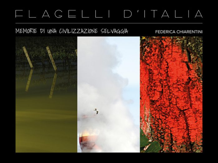 copertina_libro_isbn_9788860576422
