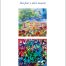 copertina_libro_isbn_9788877515056