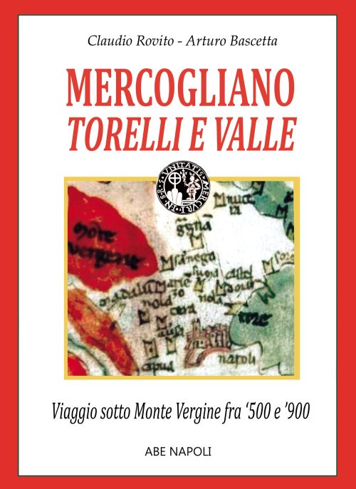 copertina_libro_isbn_9788872971390
