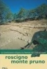 copertina_libro_isbn_9788874780938