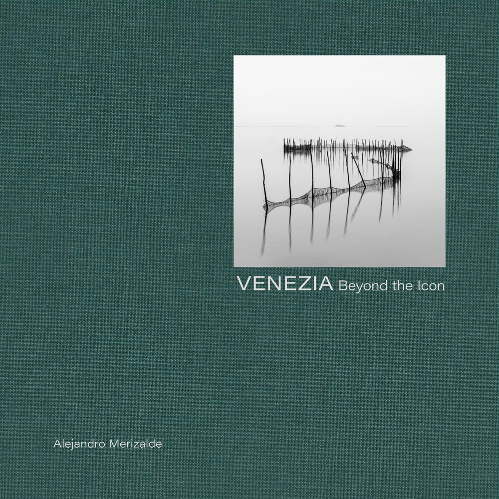 Venice : beyond the icon
