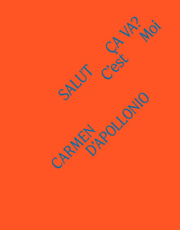 copertina_libro_isbn_9788822924483