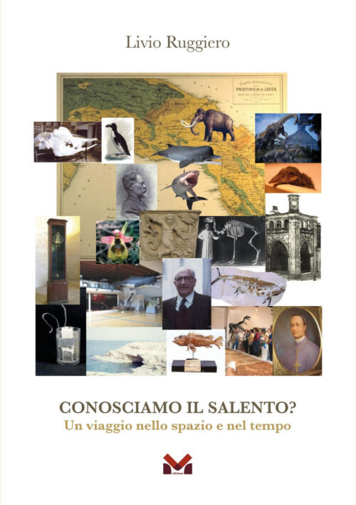 copertina_libro_isbn_9788833292540