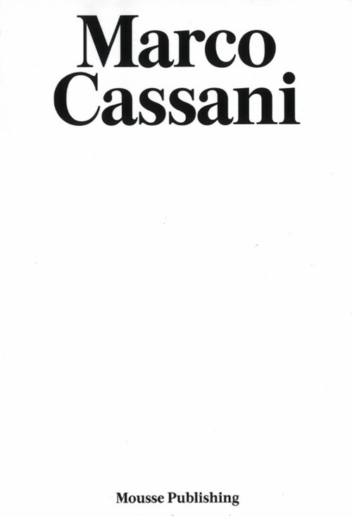 copertina_libro_isbn_9788867496969