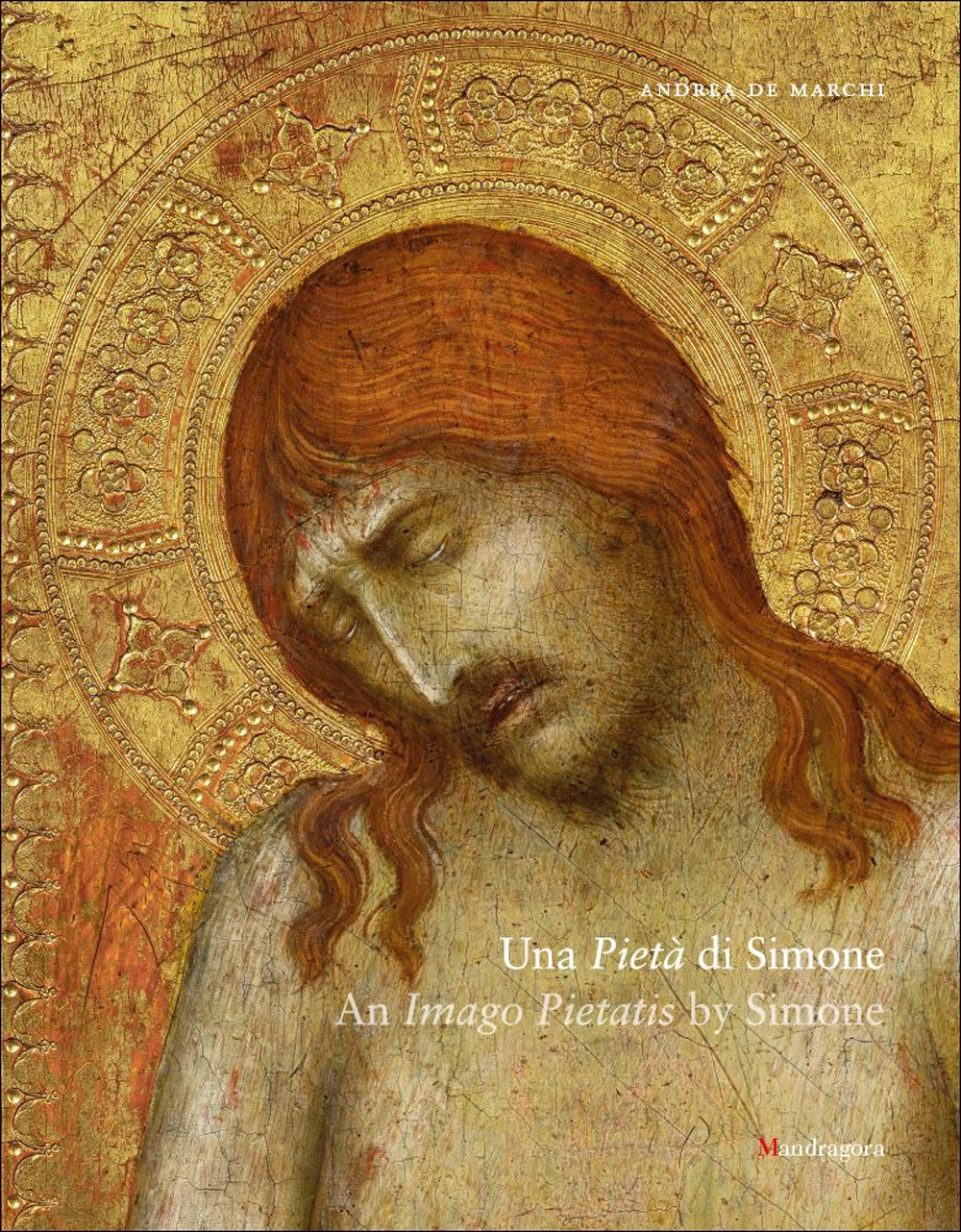 copertina_libro_isbn_9788874617548