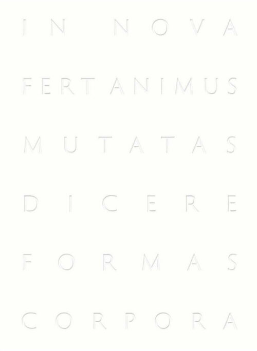 copertina_libro_isbn_9788884355546
