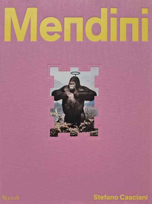 copertina_libro_isbn_9788891842435