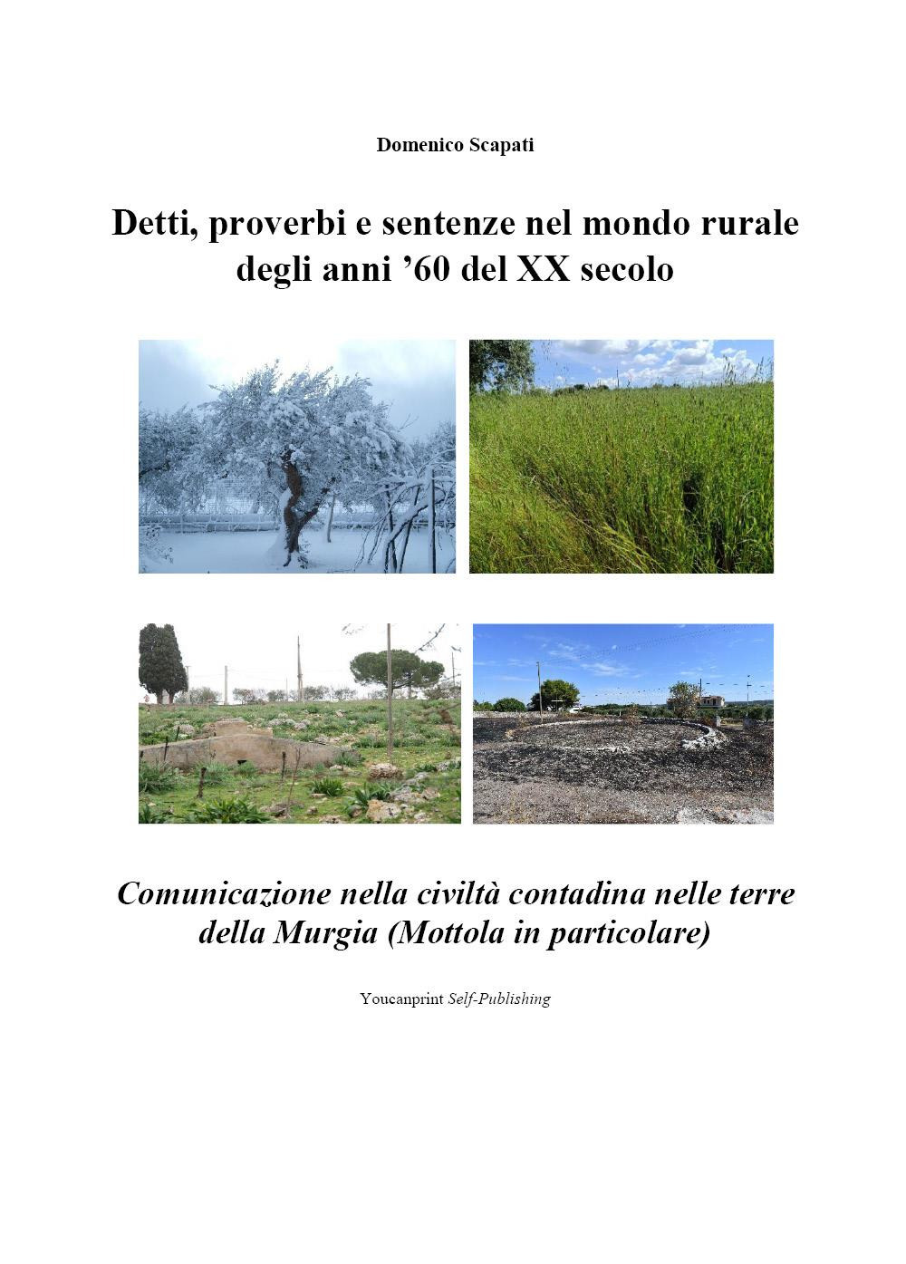 Detti, proverbi e sentenze nel mondo rurale degli anni '60 del XX secolo