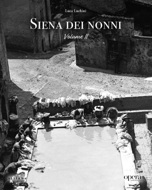 copertina_libro_isbn_9788833405896