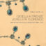 copertina_libro_isbn_9788833403434