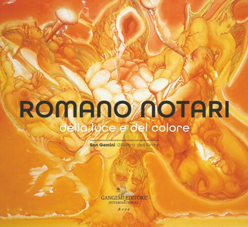 copertina_libro_isbn_9788849254204