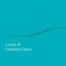 copertina_libro_isbn_9788815395320