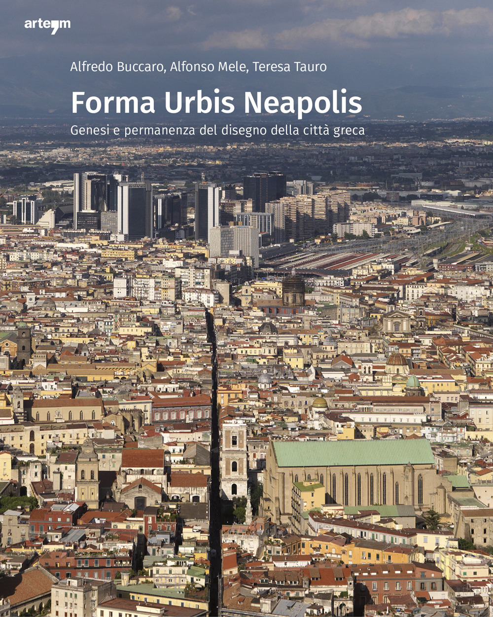copertina_libro_isbn_9788856910384