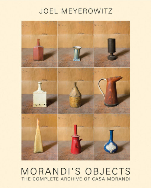 copertina_libro_isbn_9788862088565