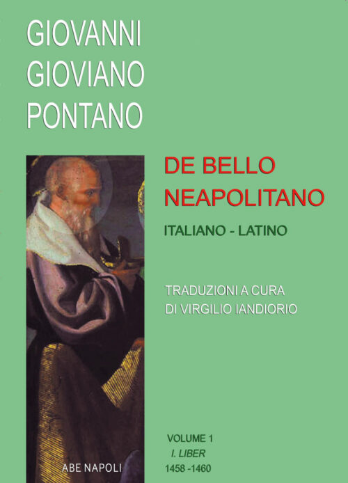 copertina_libro_isbn_9788872973974
