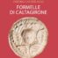 copertina_libro_isbn_9788884356055